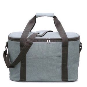 DSW Cooler bag Sage color NWT